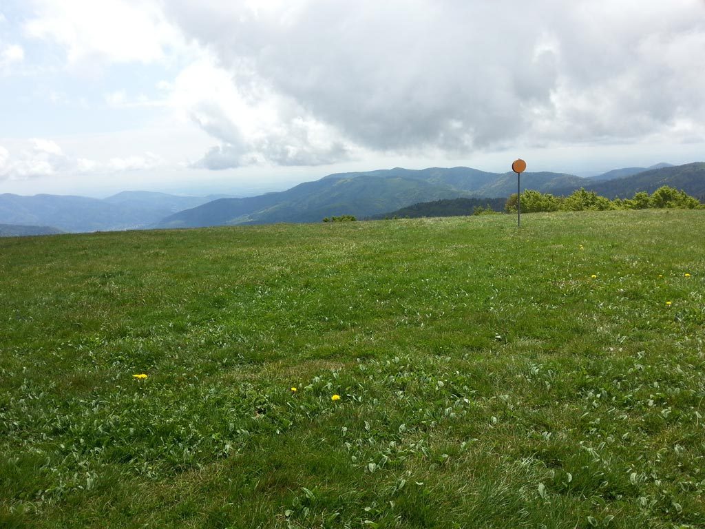 Mara-Trail Gipfel des Ballon d'Alsace