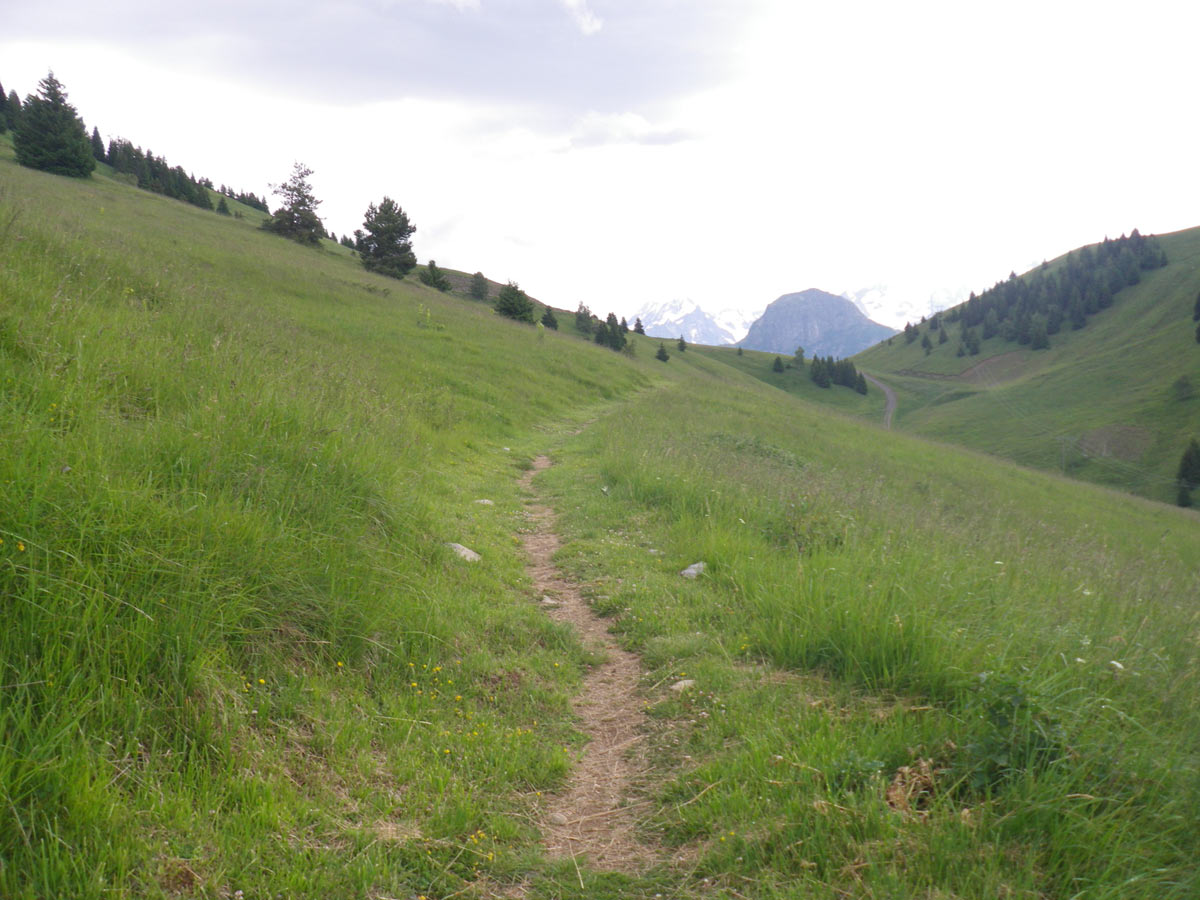 Single trails saarland