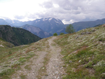 Alpe d'Huez Col de Maronne Jardin Alpin