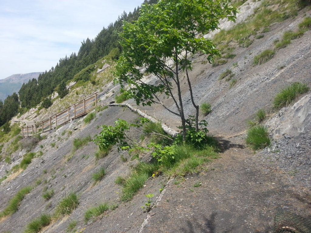Alpe d'Huez Trails