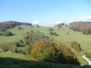 Belfortrail Col du Lochberg