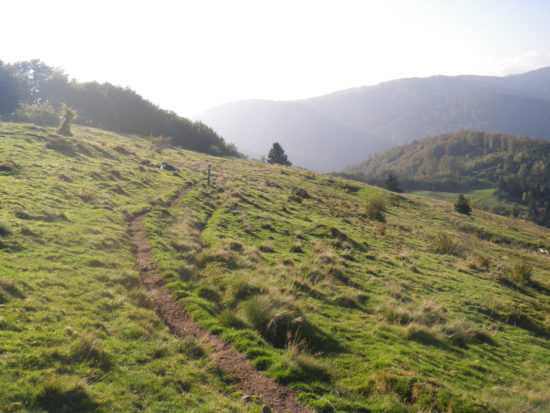 Belfortrail Panoramaweg am Schlumpf