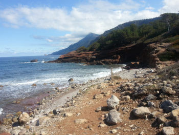 Ultra Mallorca 2015 - Port des Canonge