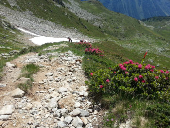 80 km du Mont-Blanc - von Lotriaz zum Col de la Terrasse