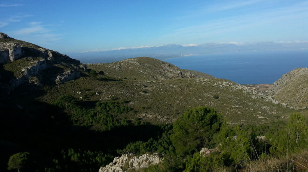 Arta Marathon Mallorca 2013