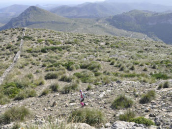 Arta Marathon Mallorca 2013