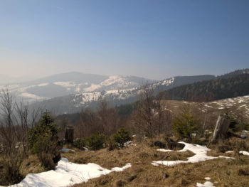 Trail du Petit Ballon 2016 Ausblick
