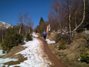 Trail du Petit Ballon 2016 Aufstieg