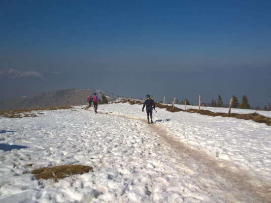 Trail du Petit Ballon 2016 Abstieg