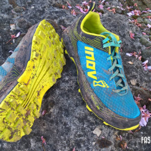 Testbericht Inov-8 Roclite 295