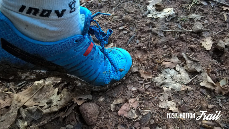Inov8 Roclite 290 Test