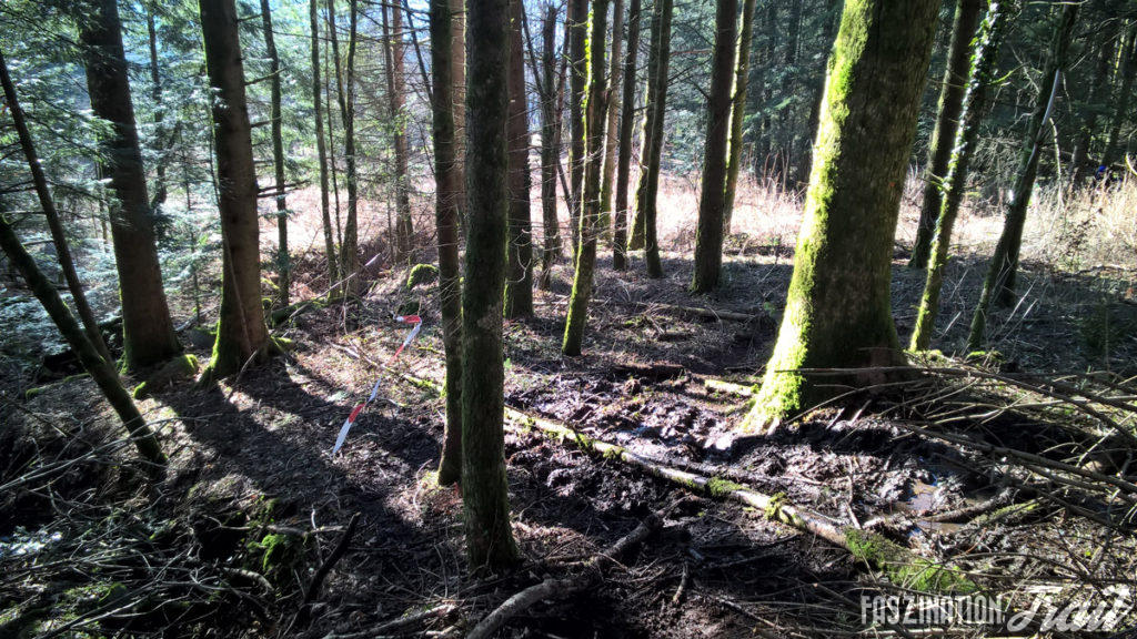 Trail de la Moselotte 2017