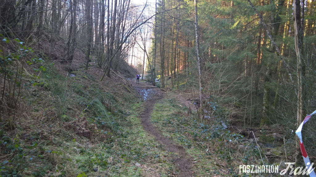 Trail de la Moselotte 2017