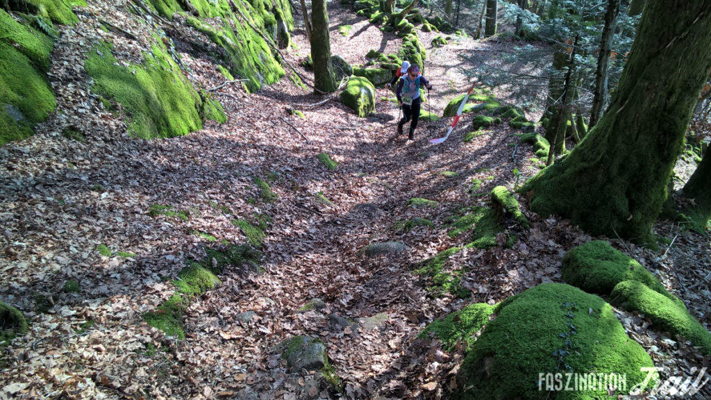 Trail de la Moselotte 2017