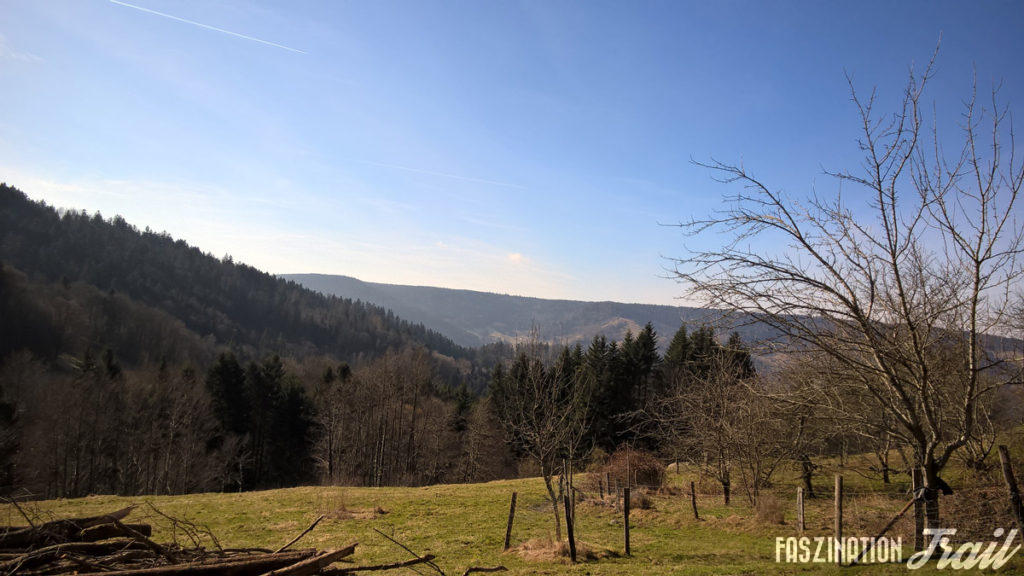 Trail de la Moselotte 2017