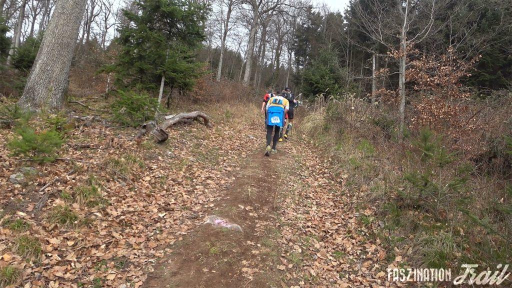 Trail du Petit Ballon 2017 - steile Rampen