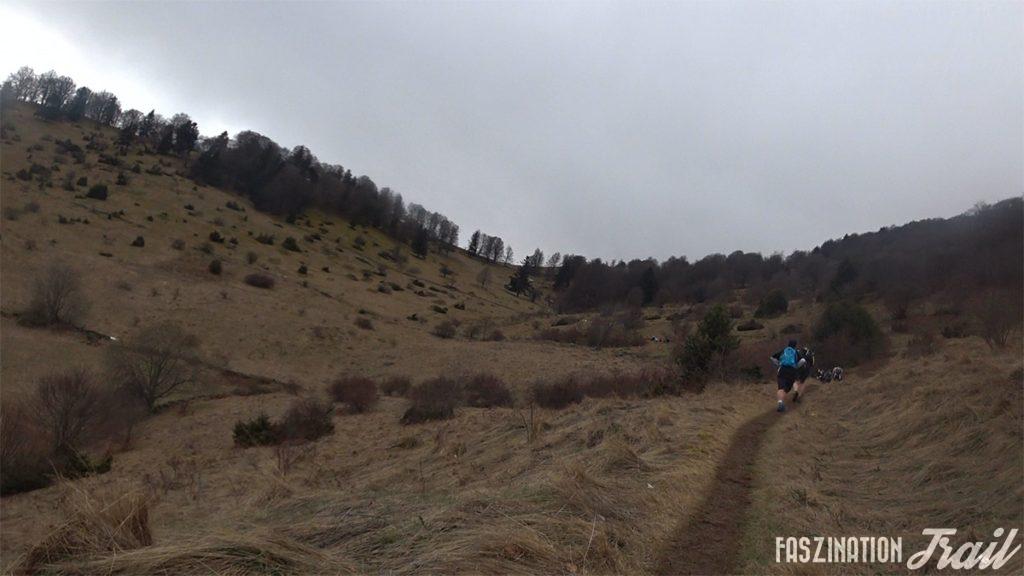 Trail du Petit Ballon 2017 - Anstieg