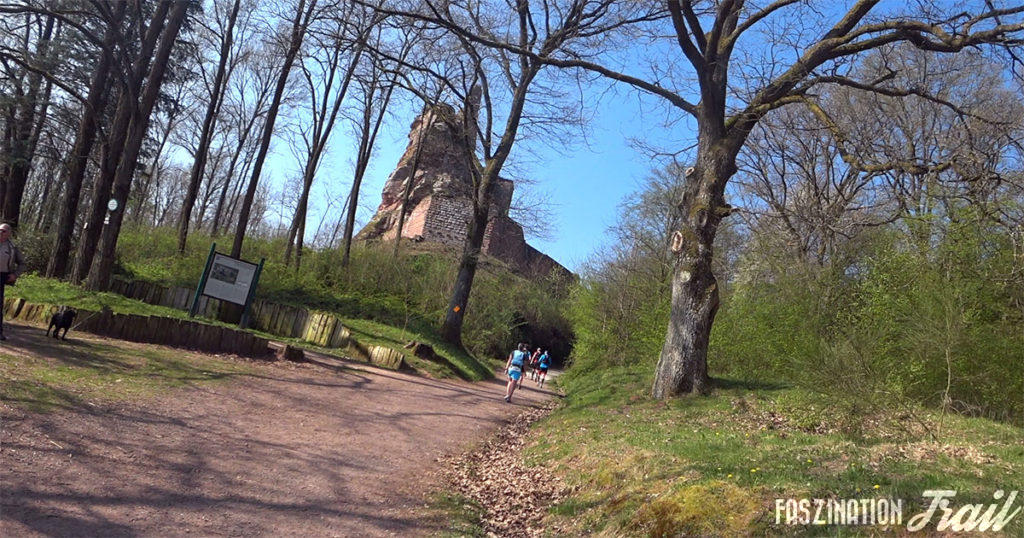 Intégrale - Burg Fleckenstein