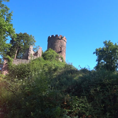 Les Courses du Taennchel – Wunderschöner, anspruchsvoller Trail in den Vogesen
