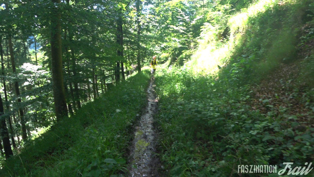 Trail du Taennchel