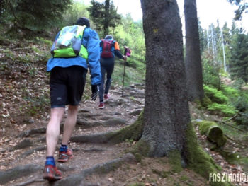 Trail du Wurzel