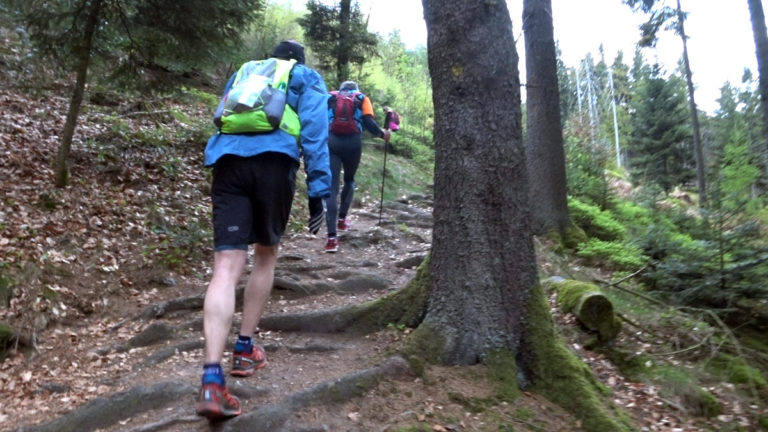 Trail du Wurzel