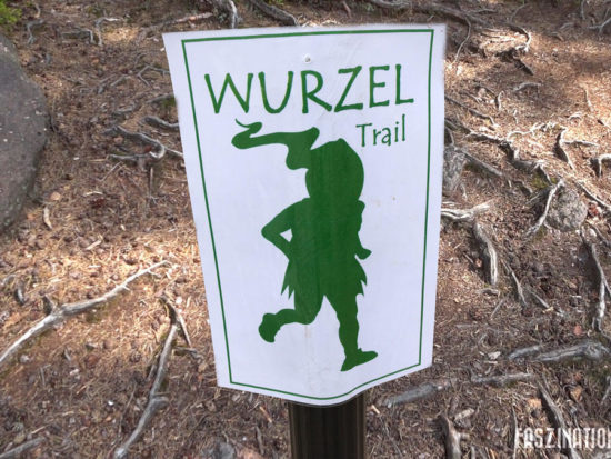 Trail du Wurzel 2017