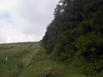 Azores Trail Run: Aufstieg zur Caldeira
