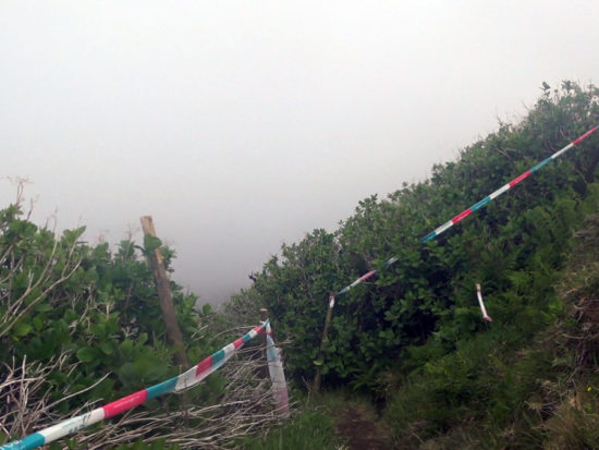 Azores Trail Run: Abstieg zur Levada