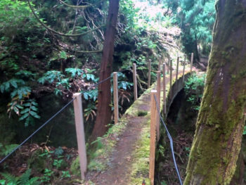 Azores Trail Run: Levada Trail