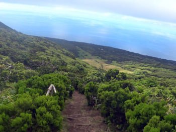 Azores Trail Run:: Cabeço Verde