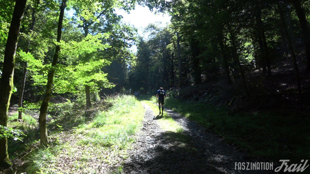Trail d’Orval Florenville 2018