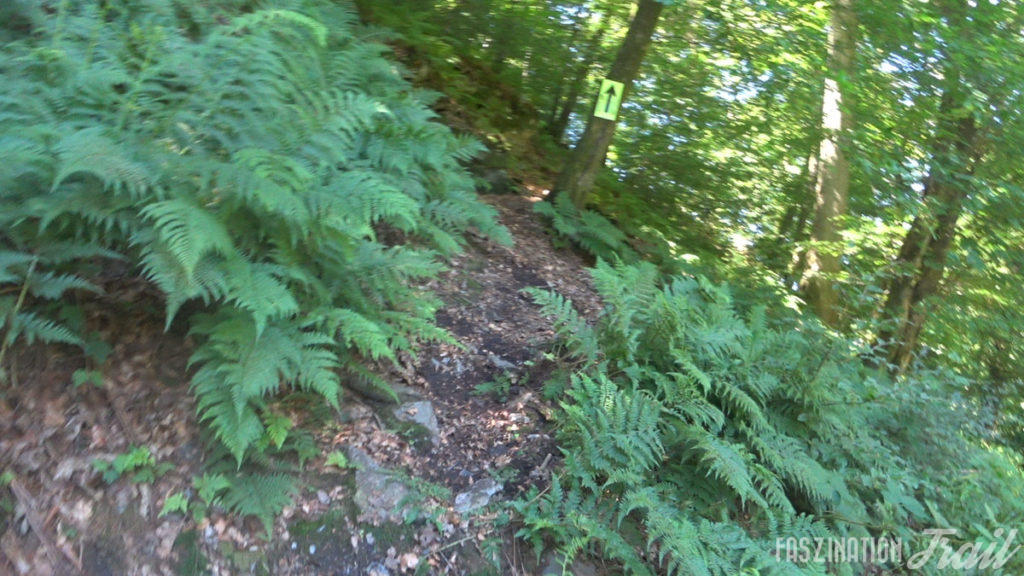 Trail d’Orval Florenville 2018