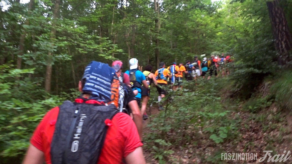 Trail des Passerelles du Monteynard 2018