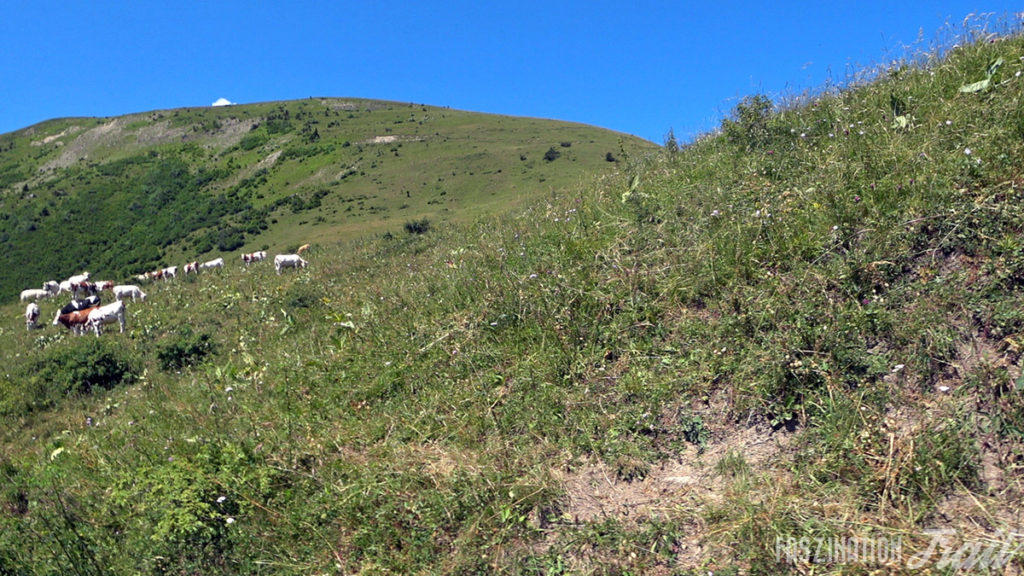 Trail des Passerelles du Monteynard 2018