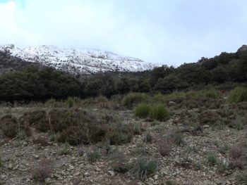 CXM Serra Nord 2018 - Puig Major im Schnee