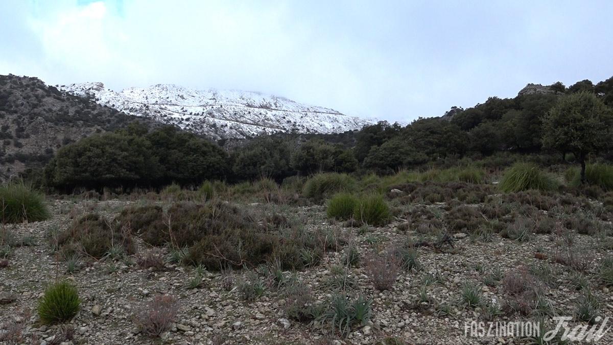 CXM Serra Nord 2018 - Puig Major im Schnee