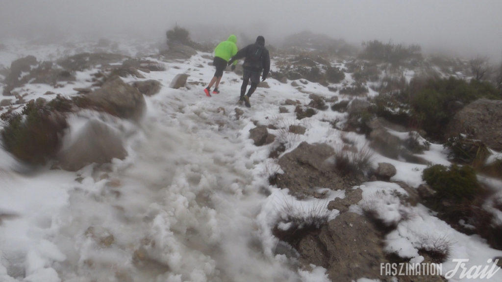 CXM Serra Nord 2018 - Coll des Prat de Massanella