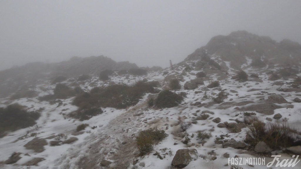 CXM Serra Nord 2018 - Coll des Prat de Massanella