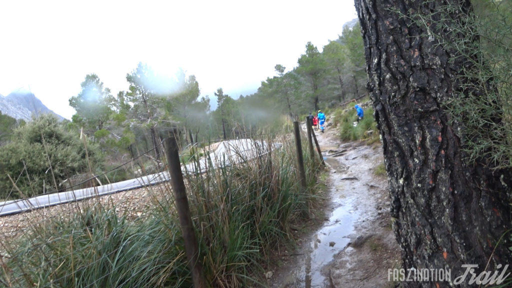 CXM Serra Nord 2018 - Coll des Prat de Massanella