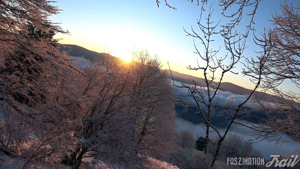 Trail Hivernal de la Moselotte