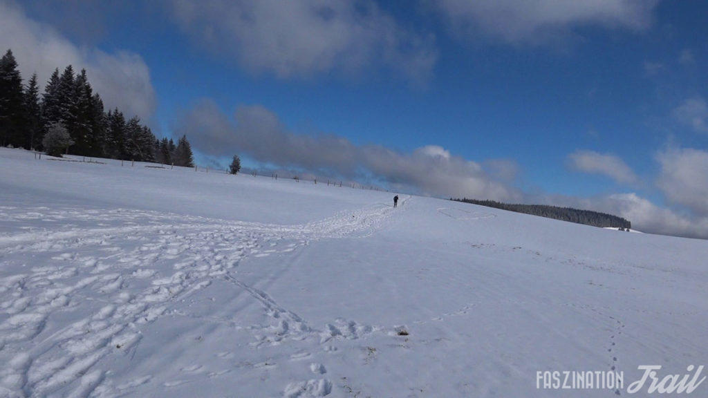 Trail Hivernal de la Moselotte
