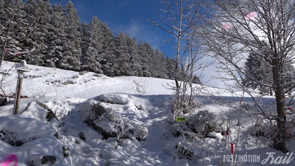 Trail Hivernal de la Moselotte