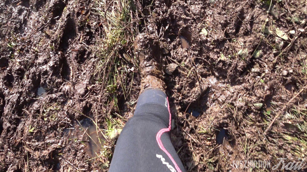 Trail Hivernal de la Moselotte