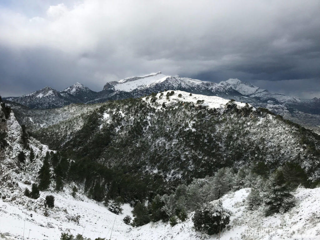 Tramuntana Travessa 2017