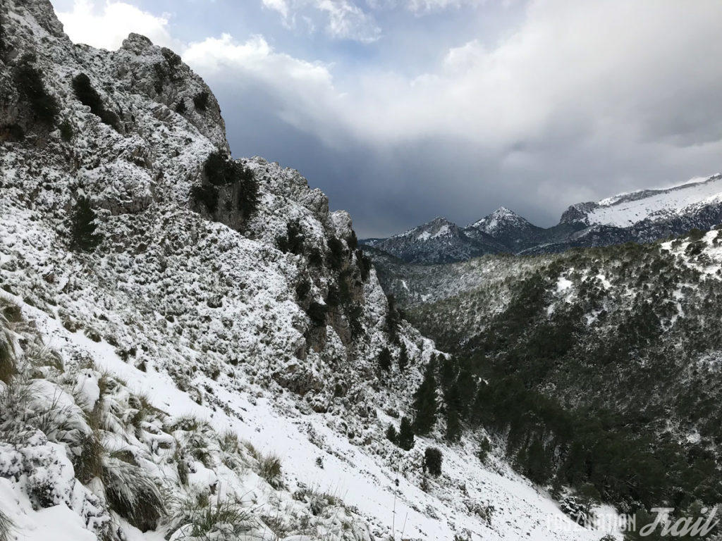 Tramuntana Travessa 2017