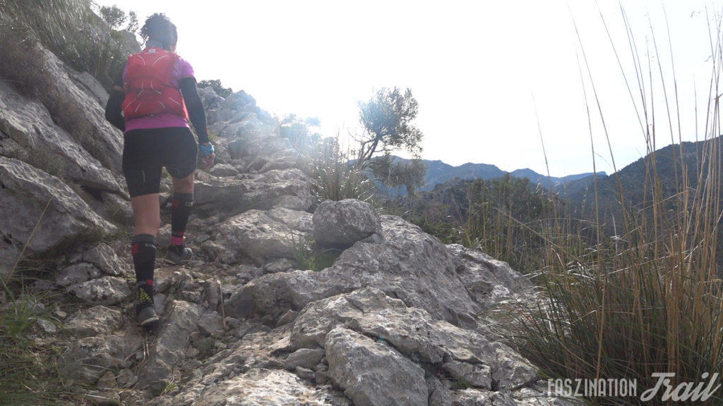 Tramuntana Travessa 2018 Tossals Verds