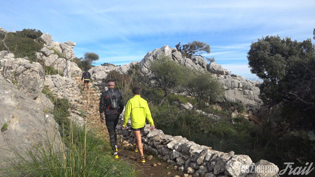 Tramuntana Travessa 2018 Tossals Verds
