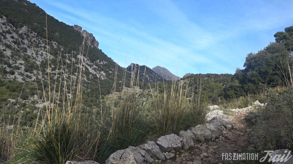 Tramuntana Travessa 2018 Tossals Verds