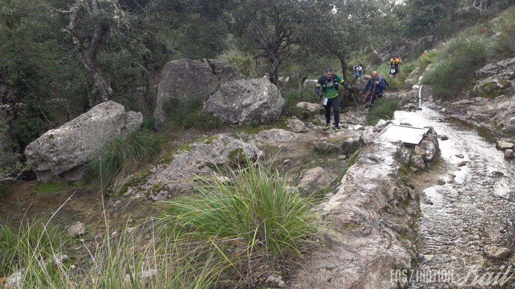Tramuntana Travessa 2018 Tossals Verds